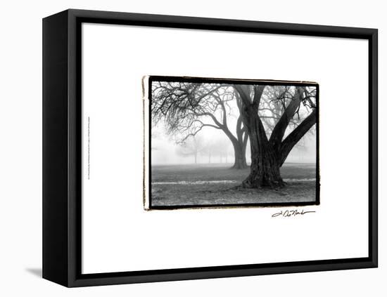 Strength and Beauty-Laura Denardo-Framed Stretched Canvas