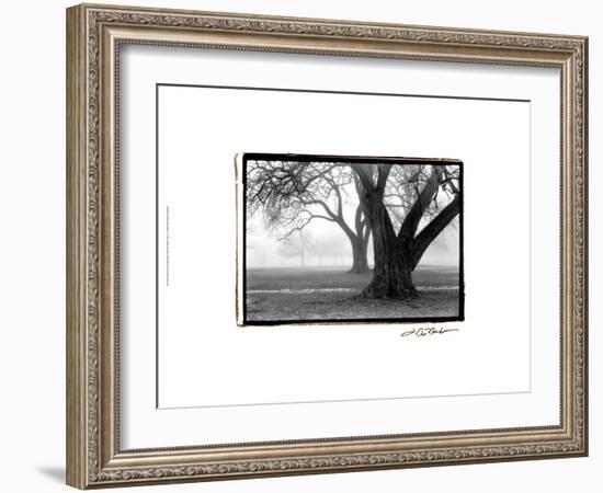 Strength and Beauty-Laura Denardo-Framed Art Print