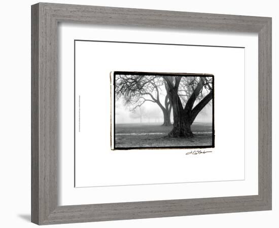 Strength and Beauty-Laura Denardo-Framed Art Print