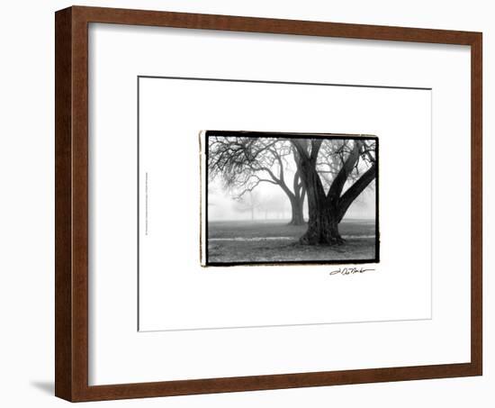 Strength and Beauty-Laura Denardo-Framed Art Print