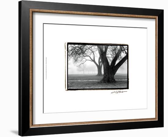 Strength and Beauty-Laura Denardo-Framed Art Print