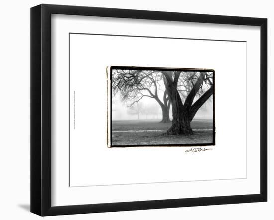 Strength and Beauty-Laura Denardo-Framed Art Print