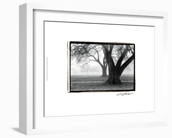 Strength and Beauty-Laura Denardo-Framed Art Print