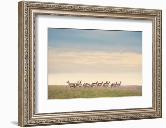 Strength in Numbers-Annie Bailey Art-Framed Photographic Print