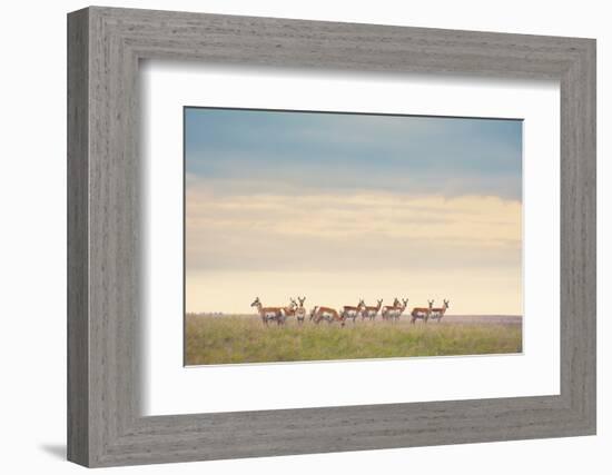 Strength in Numbers-Annie Bailey Art-Framed Photographic Print