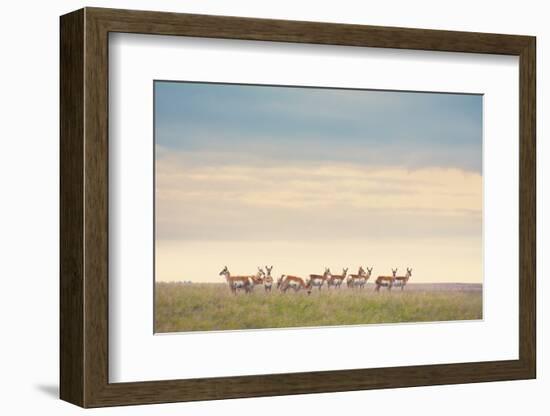 Strength in Numbers-Annie Bailey Art-Framed Photographic Print