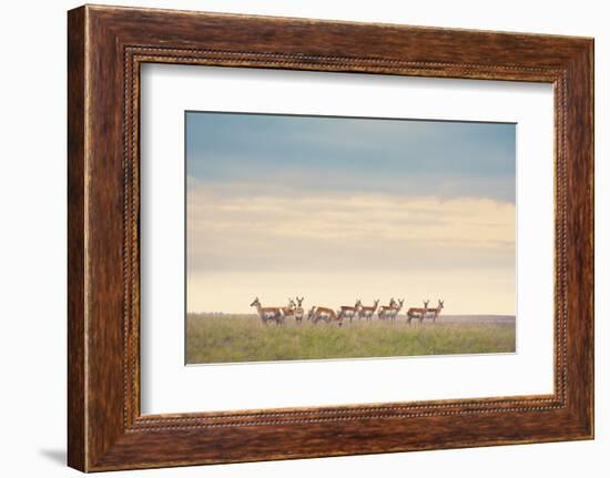 Strength in Numbers-Annie Bailey Art-Framed Photographic Print