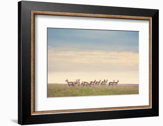 Strength in Numbers-Annie Bailey Art-Framed Photographic Print