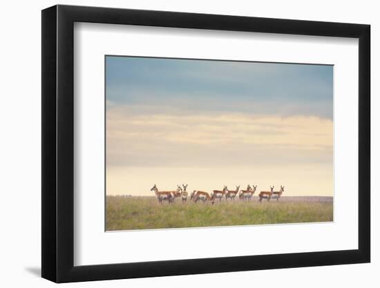 Strength in Numbers-Annie Bailey Art-Framed Photographic Print