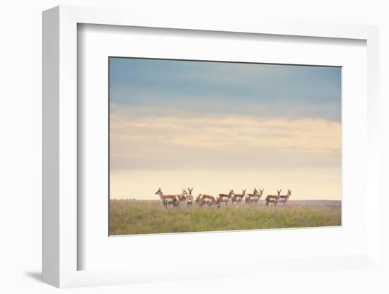 Strength in Numbers-Annie Bailey Art-Framed Photographic Print