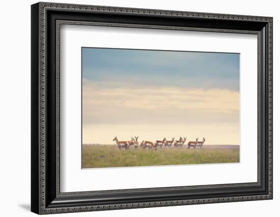 Strength in Numbers-Annie Bailey Art-Framed Photographic Print