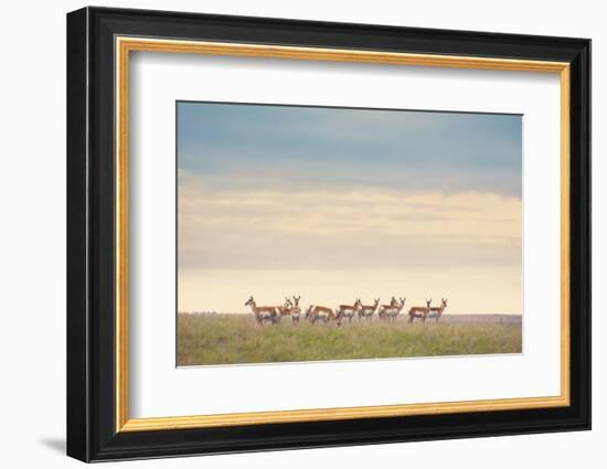 Strength in Numbers-Annie Bailey Art-Framed Photographic Print