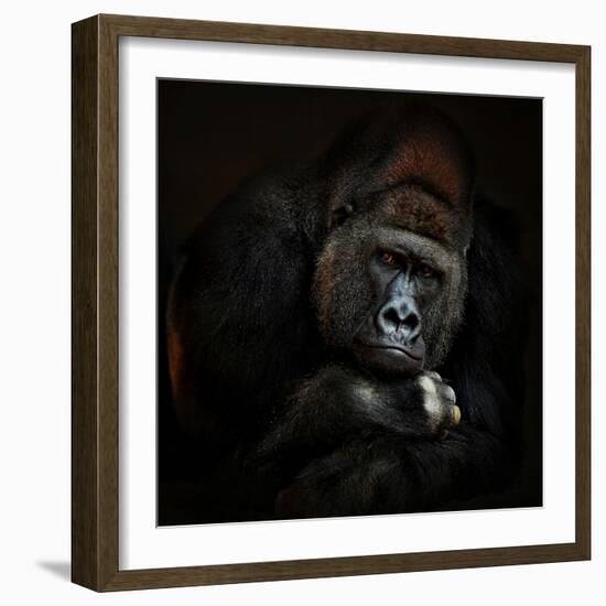 STRENGTH IN SERENITY-Antje Wenner-Braun-Framed Photographic Print