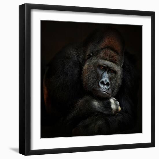 STRENGTH IN SERENITY-Antje Wenner-Braun-Framed Photographic Print