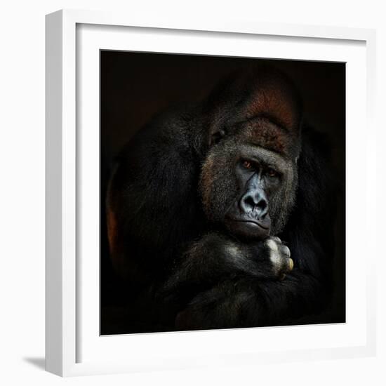 STRENGTH IN SERENITY-Antje Wenner-Braun-Framed Photographic Print