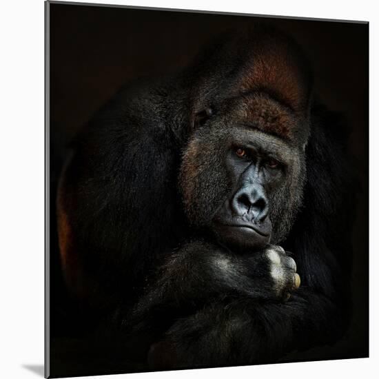 STRENGTH IN SERENITY-Antje Wenner-Braun-Mounted Photographic Print