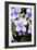 Streptocarpus Bethan Flowers-Jon Stokes-Framed Photographic Print