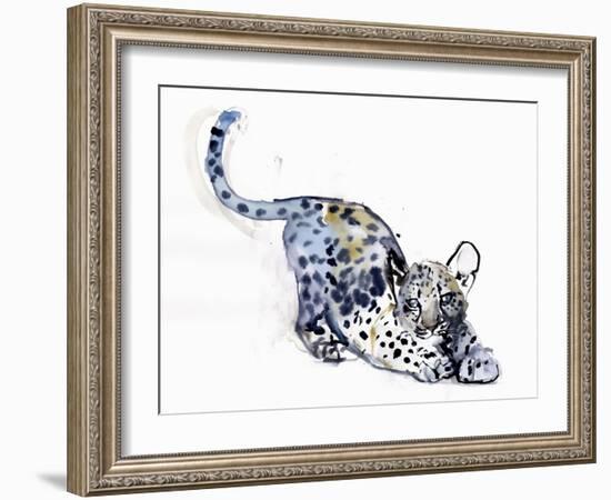 Stretching Cub (Arabian Leopard), 2008-Mark Adlington-Framed Giclee Print