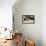 Striated Caracara Eating Carrion-Joe McDonald-Framed Premier Image Canvas displayed on a wall