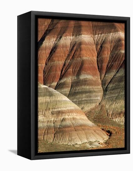 Striated Rock Formations-Joe McDonald-Framed Premier Image Canvas