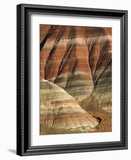 Striated Rock Formations-Joe McDonald-Framed Photographic Print