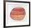 Striated Shell-Jill O'Connell-Framed Limited Edition