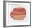 Striated Shell-Jill O'Connell-Framed Limited Edition