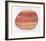 Striated Shell-Jill O'Connell-Framed Limited Edition