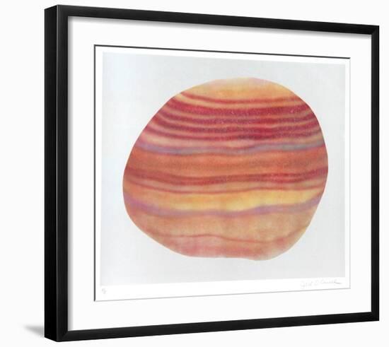 Striated Shell-Jill O'Connell-Framed Limited Edition