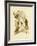 Striated Wren, 1891-Gracius Broinowski-Framed Giclee Print