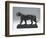 Striding Tiger, Modeled before 1874; Cast Later (Bronze)-Antoine Louis Barye-Framed Giclee Print