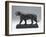 Striding Tiger, Modeled before 1874; Cast Later (Bronze)-Antoine Louis Barye-Framed Giclee Print