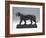 Striding Tiger, Modeled before 1874; Cast Later (Bronze)-Antoine Louis Barye-Framed Giclee Print