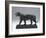 Striding Tiger, Modeled before 1874; Cast Later (Bronze)-Antoine Louis Barye-Framed Giclee Print