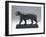 Striding Tiger, Modeled before 1874; Cast Later (Bronze)-Antoine Louis Barye-Framed Giclee Print