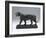 Striding Tiger, Modeled before 1874; Cast Later (Bronze)-Antoine Louis Barye-Framed Giclee Print