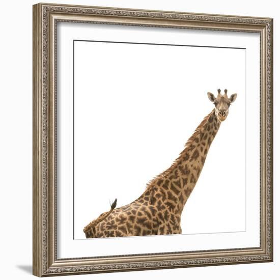 Strike A Pose-Wink Gaines-Framed Giclee Print