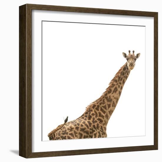 Strike A Pose-Wink Gaines-Framed Giclee Print