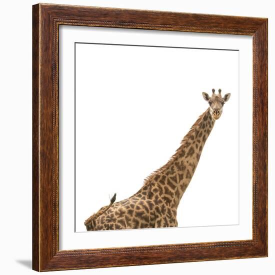 Strike A Pose-Wink Gaines-Framed Giclee Print