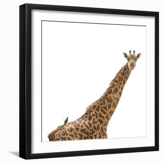 Strike A Pose-Wink Gaines-Framed Giclee Print