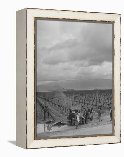 Strike at Digiorgio Fruit Farm in California's Central Valley by Af of L National Farm Labor Union-null-Framed Premier Image Canvas