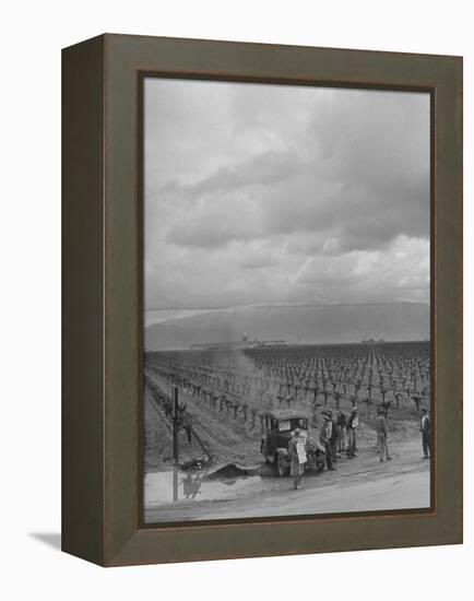 Strike at Digiorgio Fruit Farm in California's Central Valley by Af of L National Farm Labor Union-null-Framed Premier Image Canvas