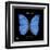 Striking Butterfly I-Ginny Joyner-Framed Art Print