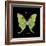 Striking Butterfly IV-Ginny Joyner-Framed Art Print