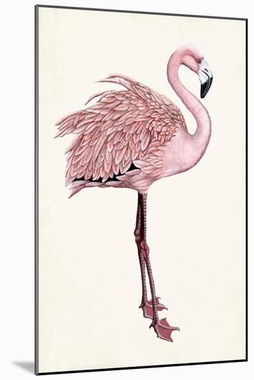 Striking Flamingo I-Naomi McCavitt-Mounted Art Print