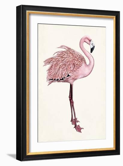 Striking Flamingo I-Naomi McCavitt-Framed Art Print