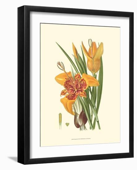 Striking Lilies I-Edward Step-Framed Art Print