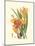 Striking Lilies I-Edward Step-Mounted Art Print