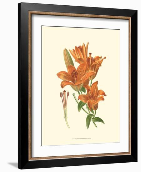 Striking Lilies II-Edward Step-Framed Art Print