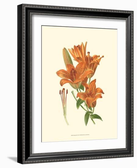 Striking Lilies II-Edward Step-Framed Art Print